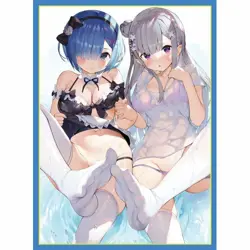 Re:Zero - Starting Life in Another World Emilia & Rem Card Sleeve Protector - Image 1