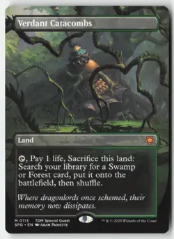 MTG - Verdant Catacombs (Borderless) M Special Guests 113 LP-NM - Image 1