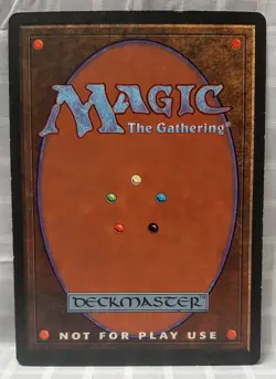 Magic The Gathering Oversized 6x9 Cards - Adarkar Wastes & Brushland MTG - Image 4