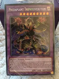 RA01-EN027 Predaplant Dragostapelia Quarter Century Rare Yugioh Card - Image 1