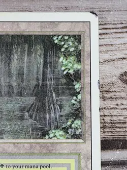 Bayou Revised MTG Magic: The Gathering Dual Land Card EDH Vintage Reserve List - Image 4