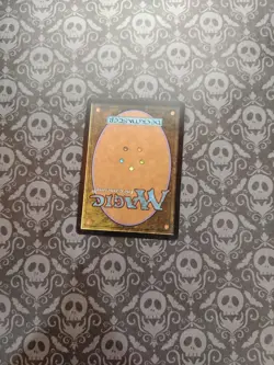 Pariah Urza's Saga Regular - Image 4