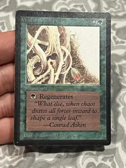 Magic The Gathering Lot Of 11 Beta Cards - Image 4