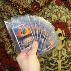 Pokemon TCG LOT: Scarlet & Violet Teal Mask Ogerpon x 10 Promo 123. - Image 1