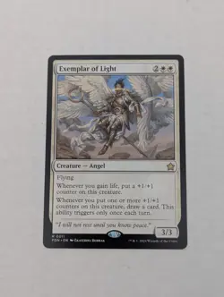 Exemplar of Light Foundations Regular - Image 1