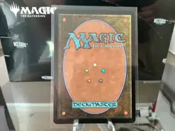 🔮 MTG: Plains (0888)Secret Lair Drop Foil - Image 2