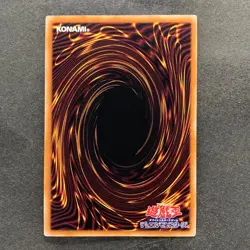 NM 4 card Dark Magician Girl QCAC-JP019 Secret Rare YuGiOh 1160 - Image 5