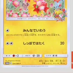 Pokemon Card Pikachu 224/SM-P Pokemon 20th Center Promo Japanese(B rank) - Image 3