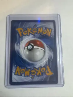 Pokemon TCG Koraidon SVP Black Star Promos SVP014 Holo Promo Promo - Image 2