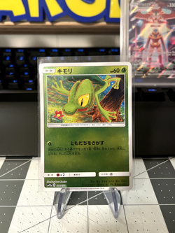 Treecko 008/173 Reverse Holo- SM12a Tag Team All Stars Japanese Pokemon TCG - NM - Image 1