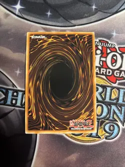 (DOOD) YUGIOH- Marshmao Yummy - DOOD-EN024 - Secret Rare - 1st Edition VLP - Image 2