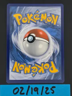 Rowlet SWSH220 Holo Black Star Promo Pokemon 2022 Sword & Shield NM/M - Image 2