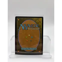 MTG - Spider-Punk - FOIL Borderless Rare #207 - Spider-Man NM - Image 2