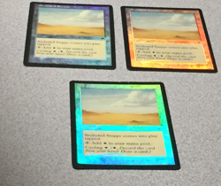 MTG MAGIC THE GATHERING - SECLUDED STEPPE 1X (FOIL) ONSLAUGHT - LAND - LP - Image 1