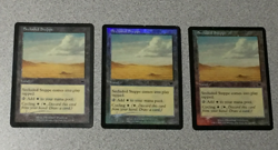 MTG MAGIC THE GATHERING - SECLUDED STEPPE 1X (FOIL) ONSLAUGHT - LAND - LP - Image 2
