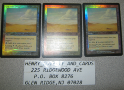 MTG MAGIC THE GATHERING - SECLUDED STEPPE 1X (FOIL) ONSLAUGHT - LAND - LP - Image 4