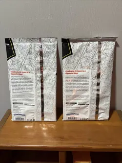 2 x Pokemon Card TCG 25th Anniversary GALAR First Partner Pack NEW SEALED 820650809613 - Image 2