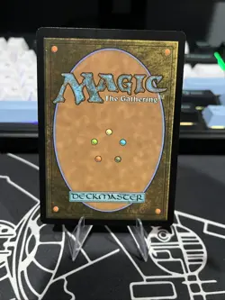 MTG - Spider-Punk - FOIL Borderless Rare #210 - Spider-Man NM - Image 2