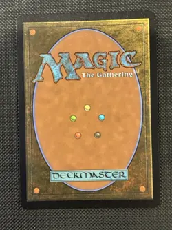 MTG - Spider-Punk - FOIL Borderless Rare #207 - Spider-Man NM - Image 2