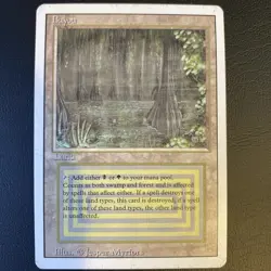 English - MTG Bayou - LP - Revised (3rd) Edition - Image 1