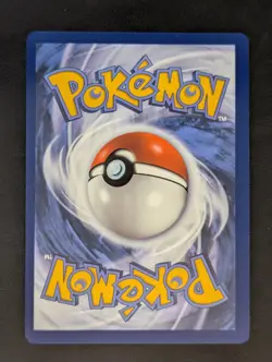 2024 Pokemon TCG Dachsbun ex 169/142 Stellar Crown Special Illustration Rare NM/ - Image 2