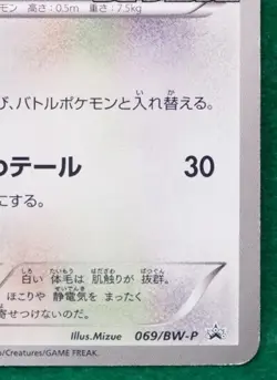 Cinccino Promo 069/BW-P 2011 Rare Vintage Nintendo Pokemon Card Japanese F/S - Image 5