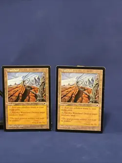 2x LP Wasteland Tempest - Image 1