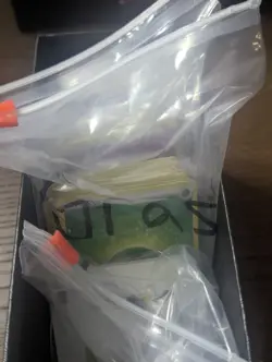 Pokemon TCG 1000+ Card Bulk Lot Mixed Cards, Common, Uncommon, Holos - Image 2