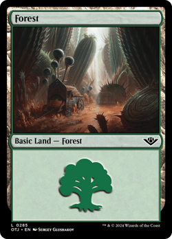 x4 Forest OTJ MTG 285 BASIC LAND M/NM 4x - Image 1