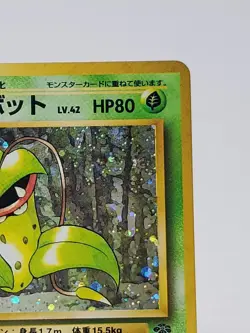 Victreebel Jungle Holo Rare Japanese Unlimited Pokemon Card No. 071 WOTC - LP - Image 3