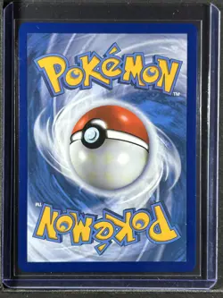 Pikachu V #SWSH198 SWSH: Sword & Shield Promo Cards 250001 - Image 2