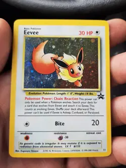 Pokemon Eevee 11/53 Black Star Promo Holo Card WOTC - Image 1