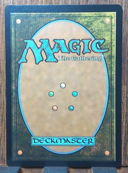 MTG - LOTR - SHOWCASE SCROLL - Lord of the Nazgul - MINTY - Pack Fresh. - Image 2