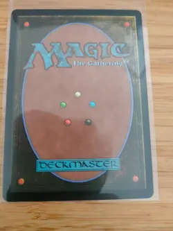 MTG Floodfarm Verge 0259 Duskmourn M/NM Free UK P&P - Image 2