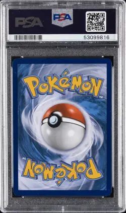 2016 POKEMON XY BLACK STAR PROMO SHINY MEGA GYARADOS #XY143 MAGIKARP-HOLO PSA 9 - Image 2