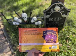 2022 Pokemon TCG TRICK OR TRADE BOOSTER BUNDLE New & Sealed Halloween 40 Packs 820650850783 - Image 2