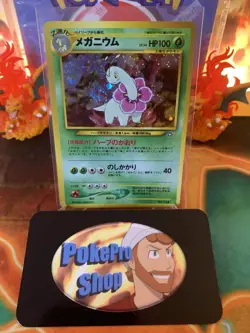 2000 Pokemon Japanese Neo Premium File Meganium 154 Holo - NM - Image 1