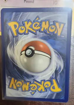 Terapagos EX 170/142 Stellar Crown Special Illustration Rare NM/M Pokemon Card - Image 3