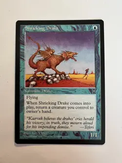 Shrieking Drake - MTG Visions - NM Common Creature - Image 1