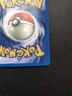 Ursaring Holo / Pokemon Neo Discovery 15/75 Holo Wizards WOTC - Image 4