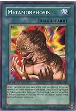 Metamorphosis - 1st Edition Pharaonic Guardian HP YuGiOh - Image 1