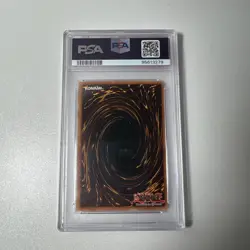 Red-Eyes Black Dragon JMP-002 YuGiOh Shonen Jump Promo PSA 8 NM-MT - Image 2