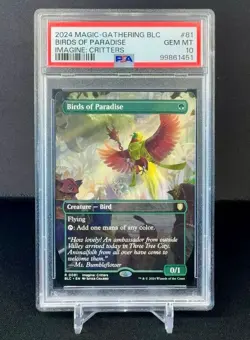 🌈 Birds of Paradise - Borderless - MTG #81 - Commander: Bloomburrow - PSA 10 - Image 1