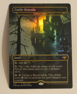 Castle Dracula Borderless FOIL NM Innistrad Crimson Vow MTG Magic the Gathering - Image 1