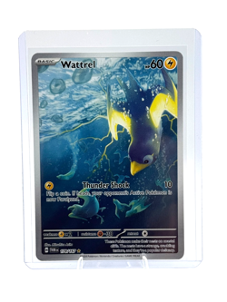 Pokemon Card TCG - Wattrel 178/167 Illustration Rare Twilight Masquerade NM - Image 1