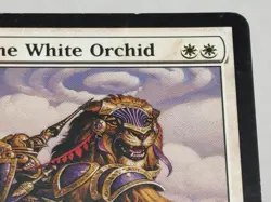 Knight of the White Orchid Shards of Alara Regular LP/EX - Image 3
