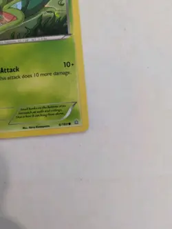 Treecko 6/160 Holo Common Promo XY Primal Clash Pokemon Card Mint NM - Image 3