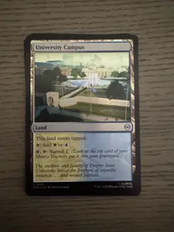 Spider-Man MTG Bulk Lot Cards! NM/M From Collector Booster box FOILS & Non-foils - Image 3