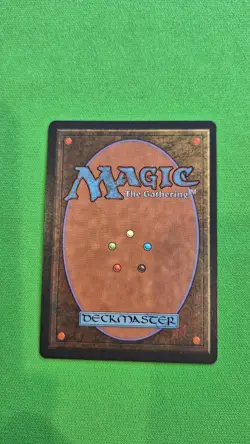 Force of Will - Alliances - Near Mint NM - English - Magic the Gathering MTG - Image 2