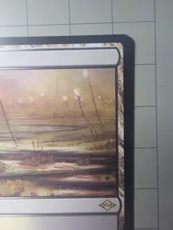 Marsh Flats | NM | Modern Horizons 2 | MH2 #248 | MTG - Image 2